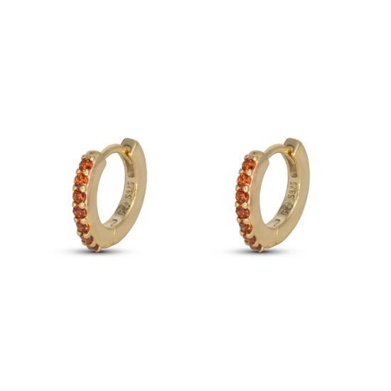 Orecchini Dilvdò Donna Hoop ring in Argento Zircone ORDLOOG - ORDLOOG